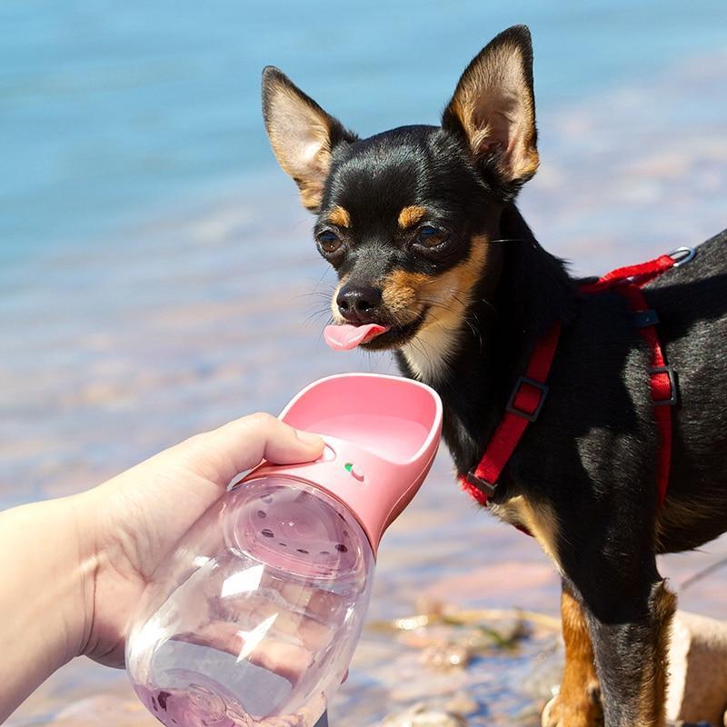 NexessPets® Doggy Bottle